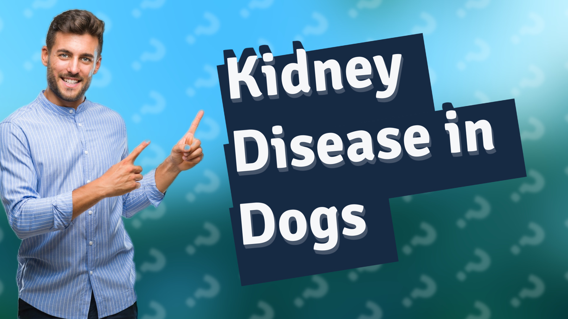 Kidney Disease in Dogs