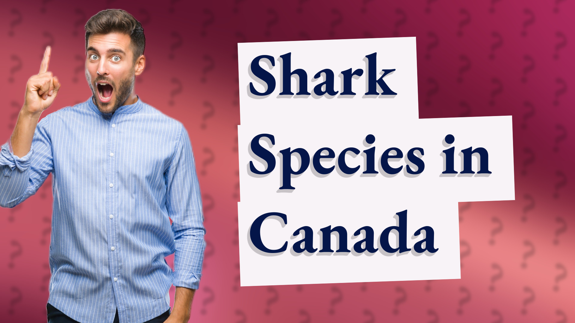 Shark Species in Canada