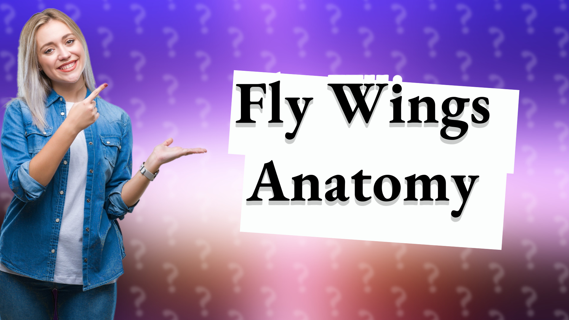 Fly Wings Anatomy
