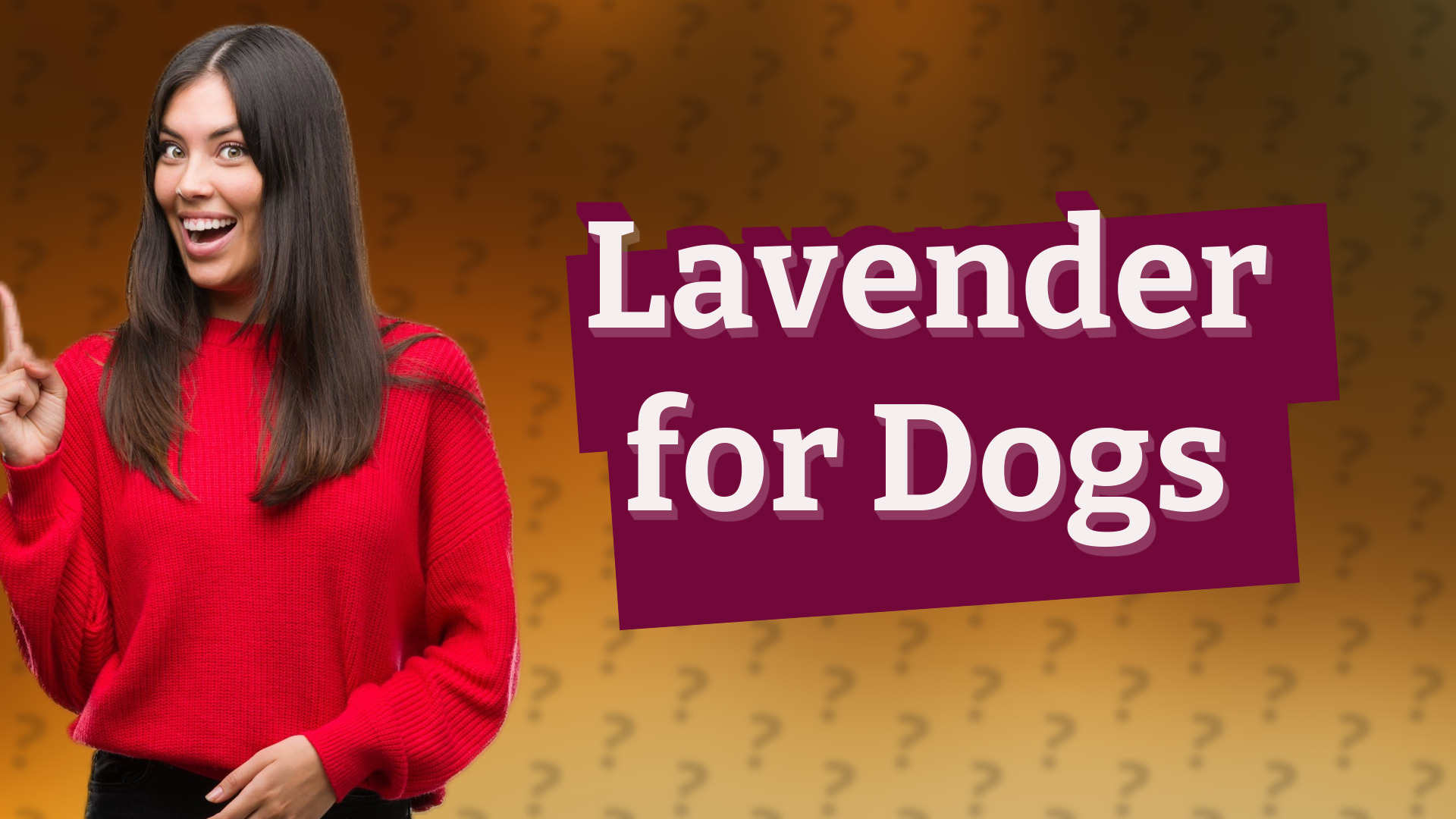 Lavender for Dogs