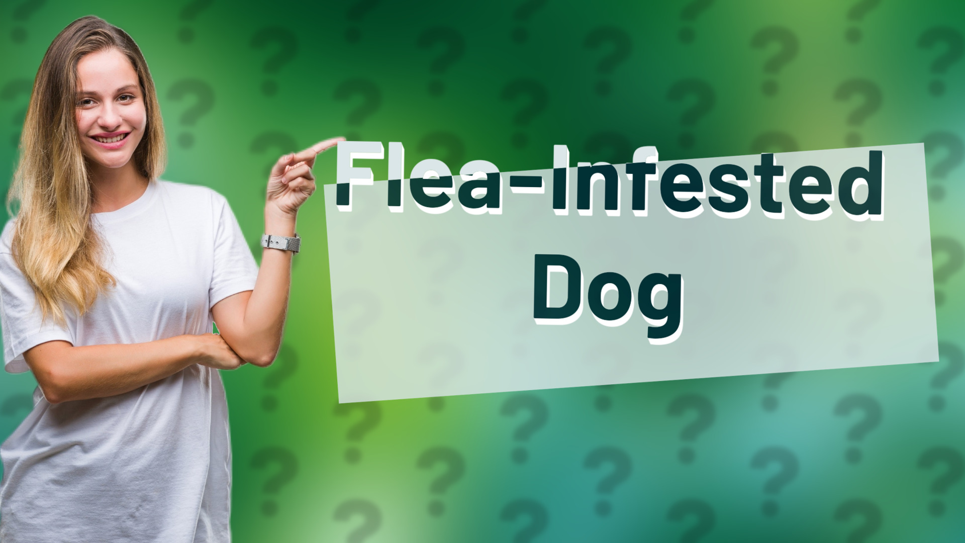 Flea-Infested Dog