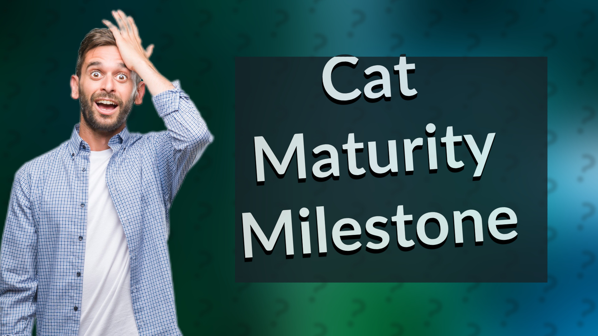 Cat Maturity Milestone