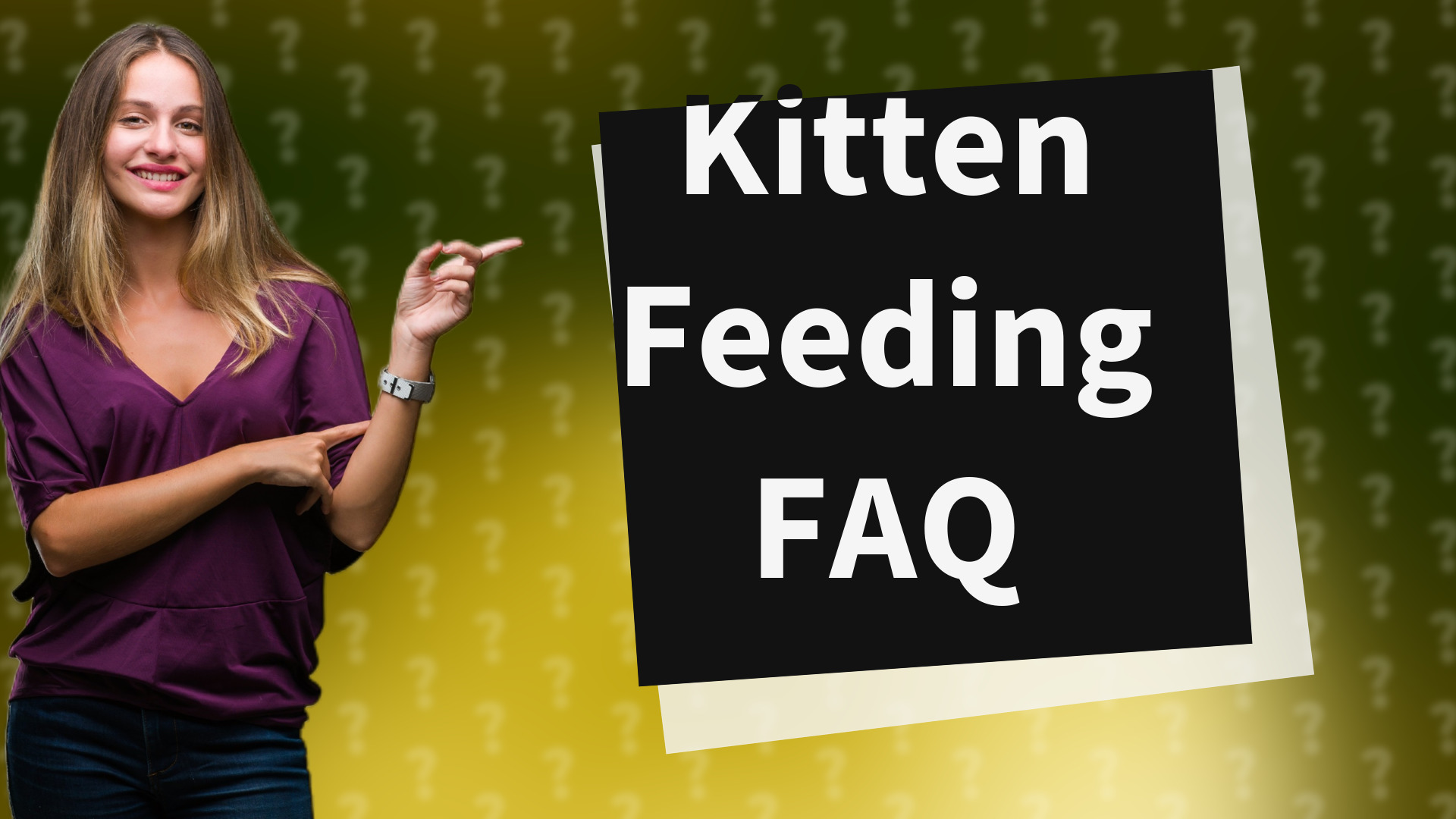 Kitten Feeding FAQ