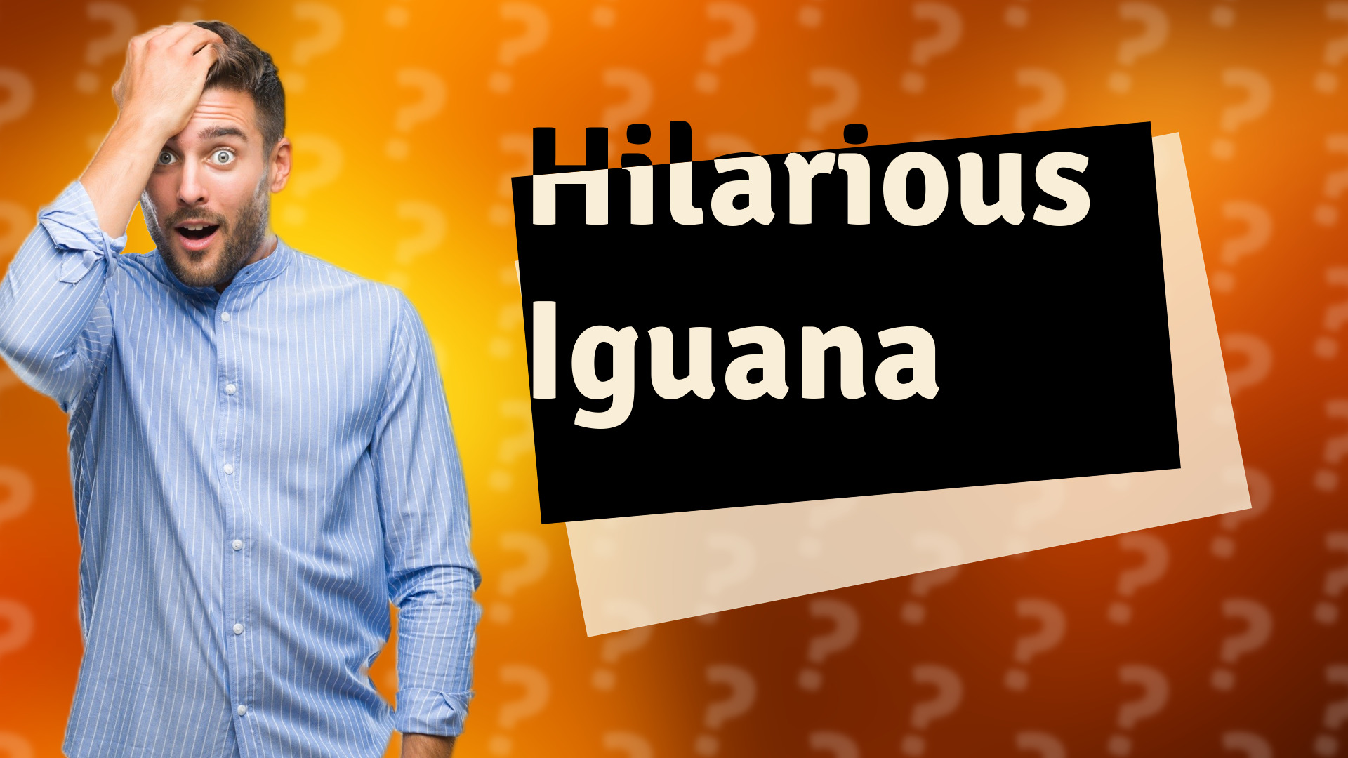 Hilarious Iguana