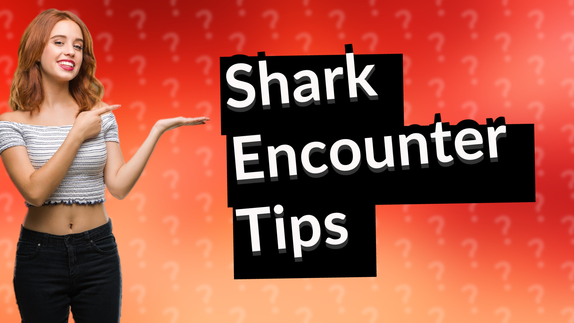 Shark Encounter Tips