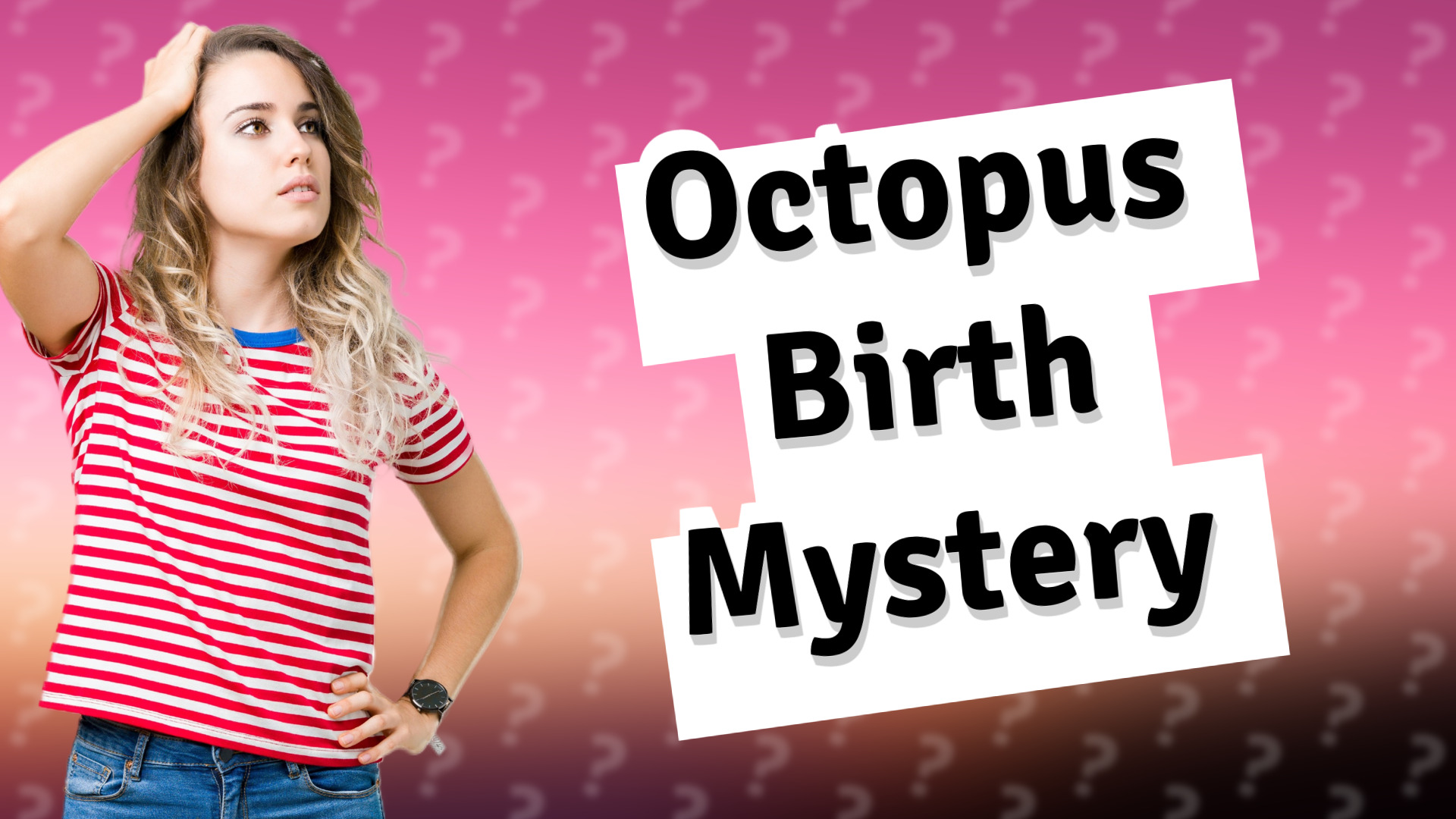 Octopus Birth Mystery