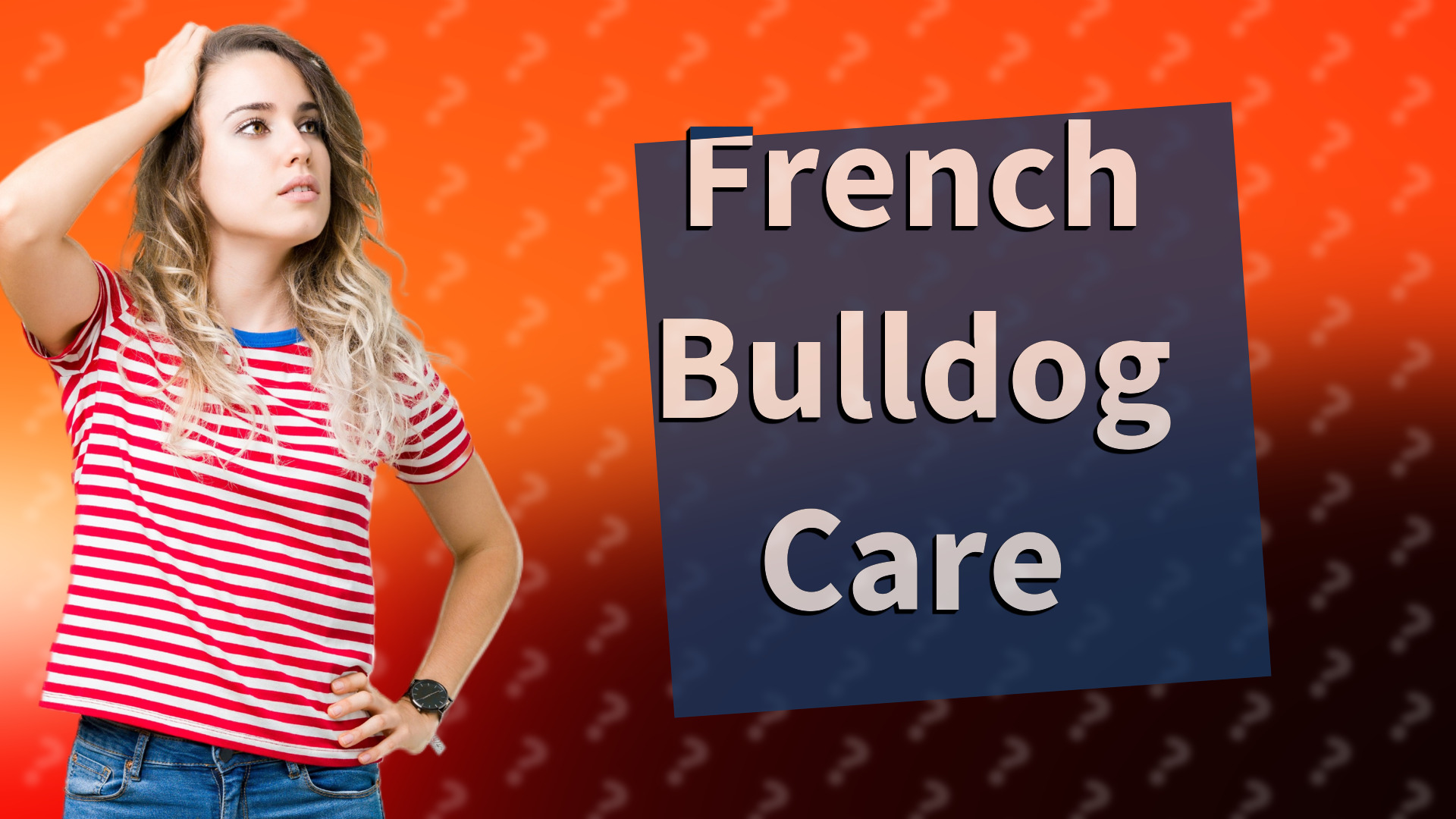 French Bulldog Care