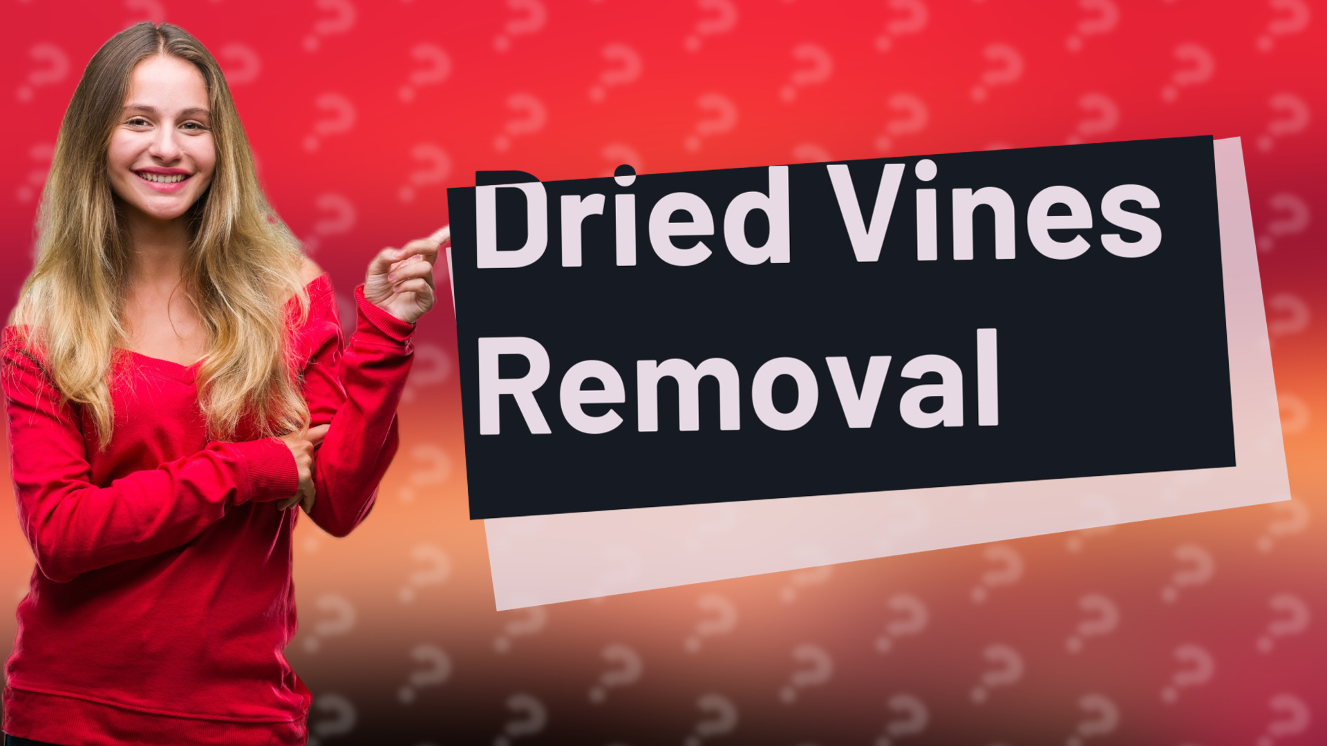 Dried Vines Removal