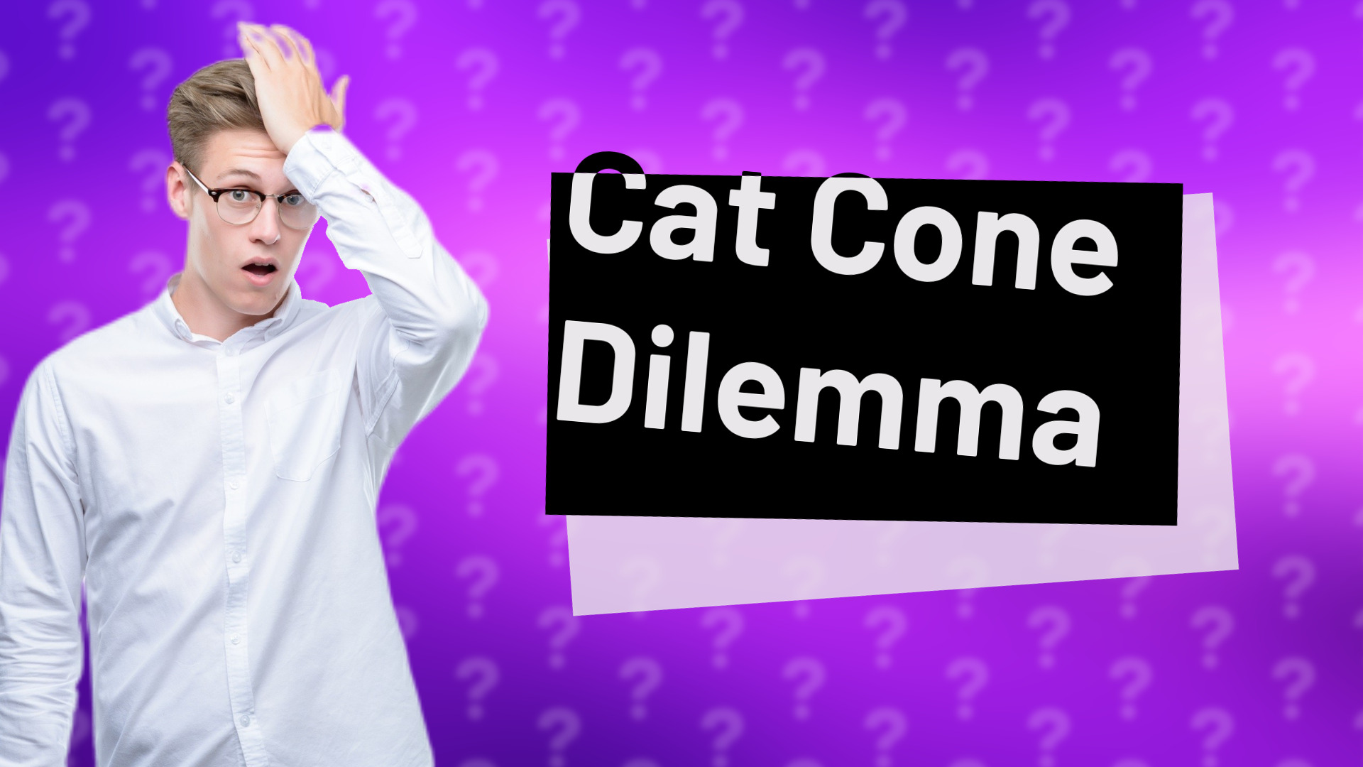 Cat Cone Dilemma