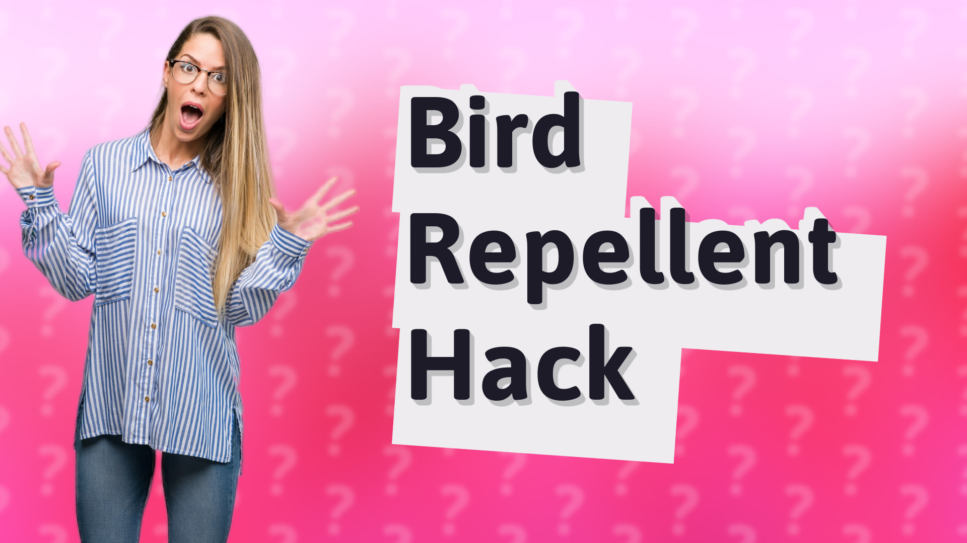 Bird Repellent Hack