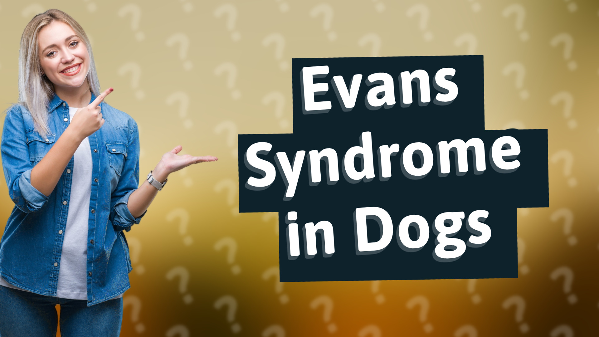 Evans Syndrome in Dogs