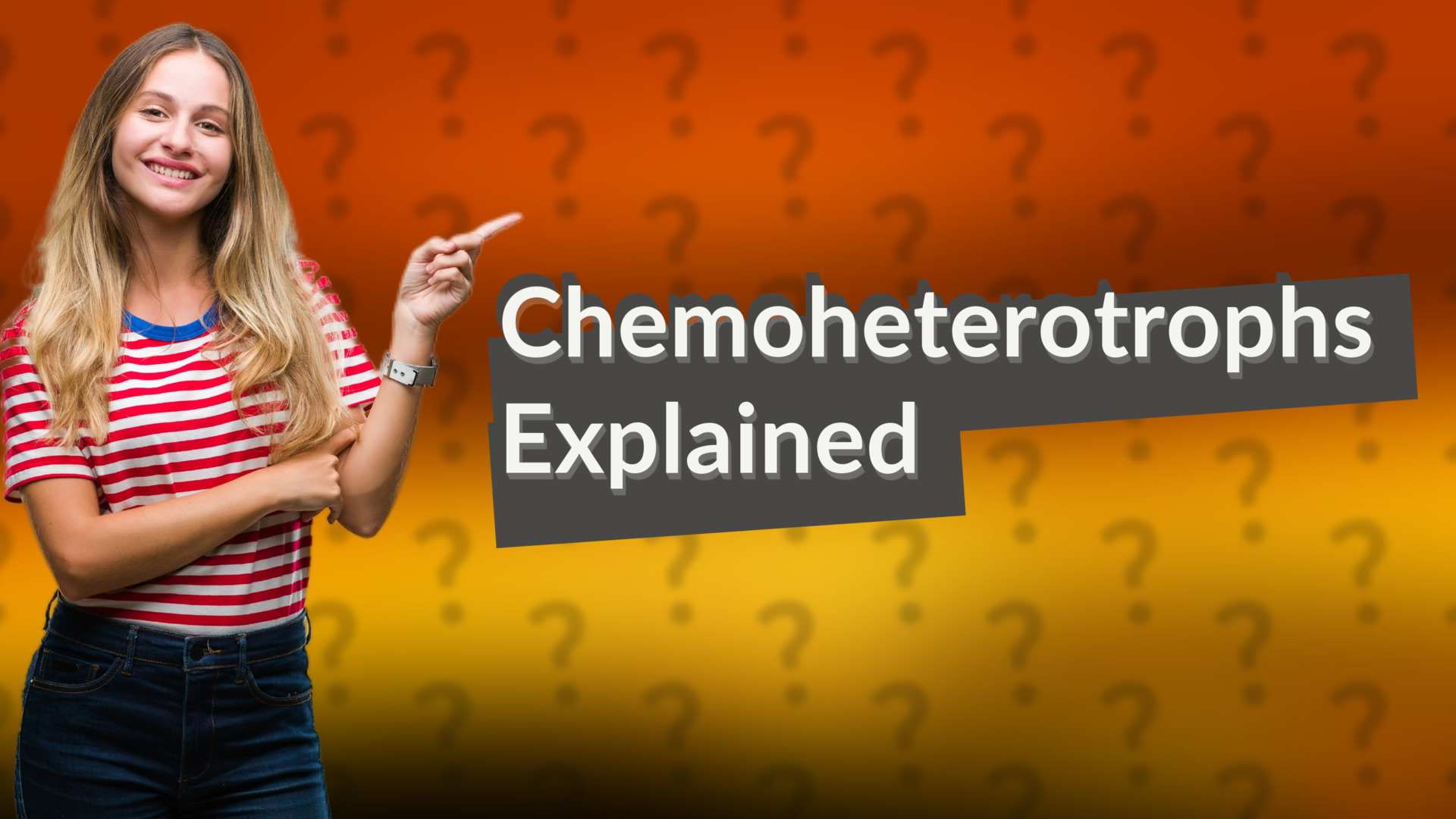 Chemoheterotrophs Explained