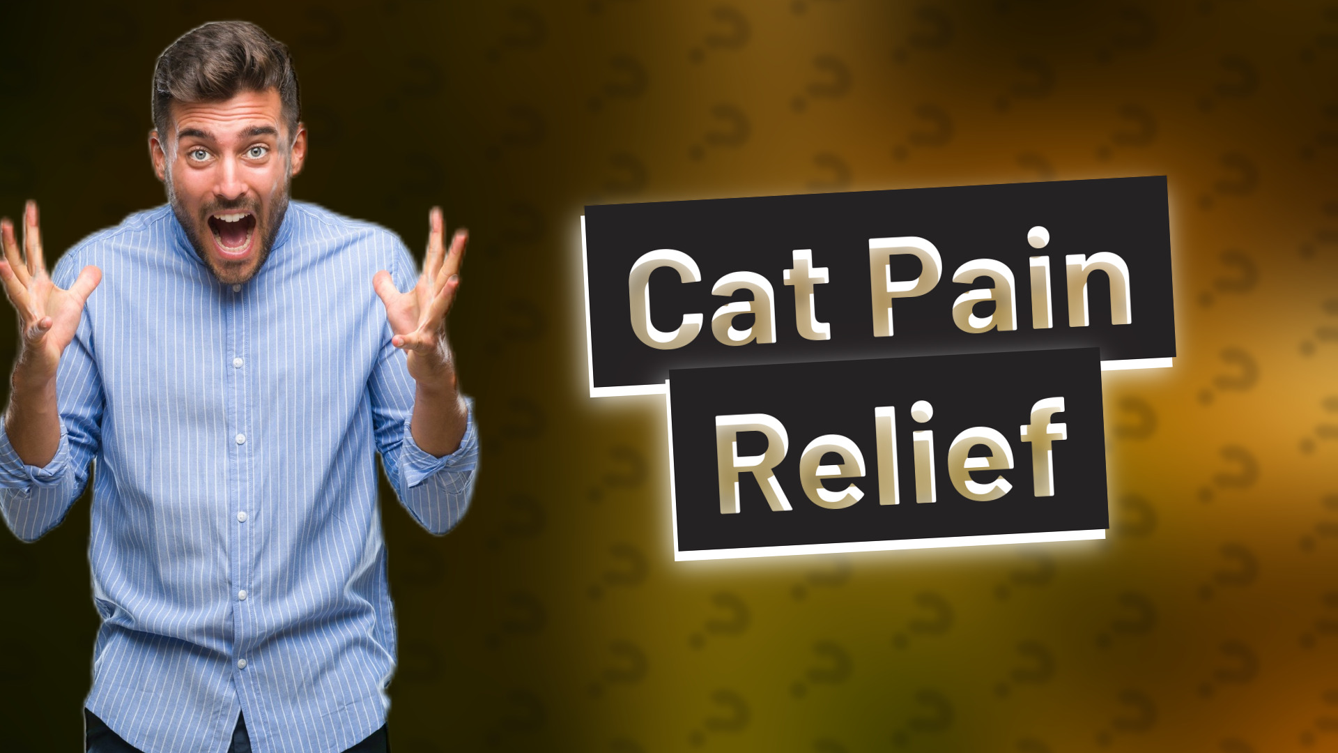 Cat Pain Relief
