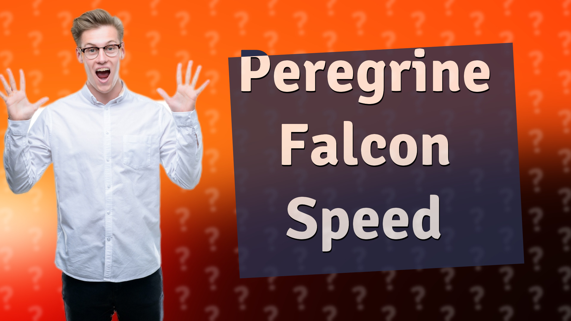 Peregrine Falcon Speed
