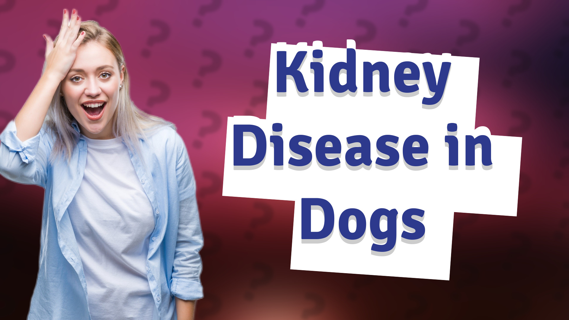 Kidney Disease in Dogs