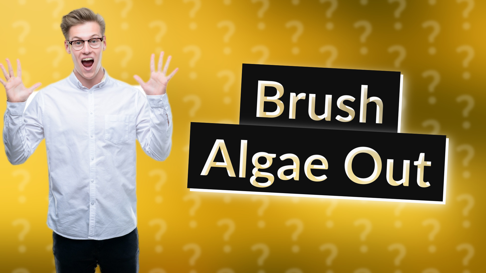 Brush Algae Out