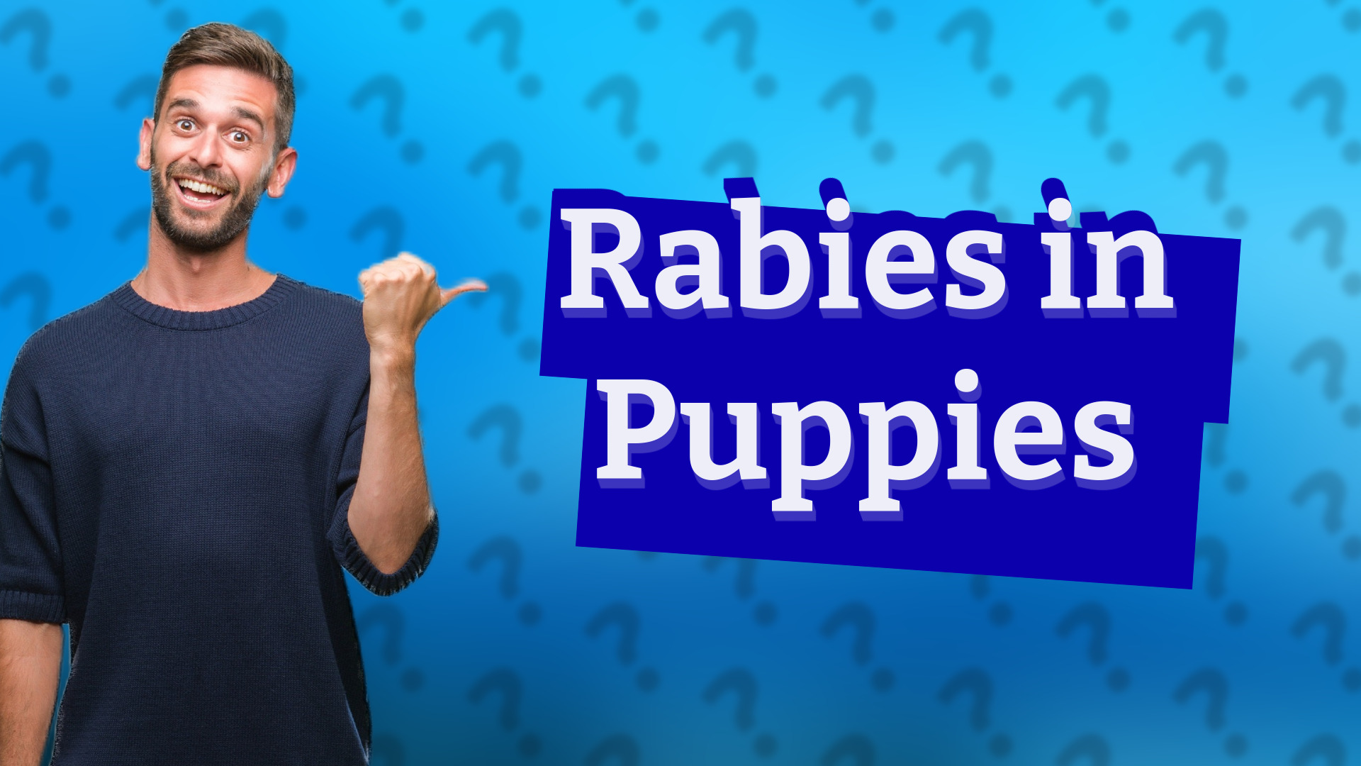 Rabies in Puppies