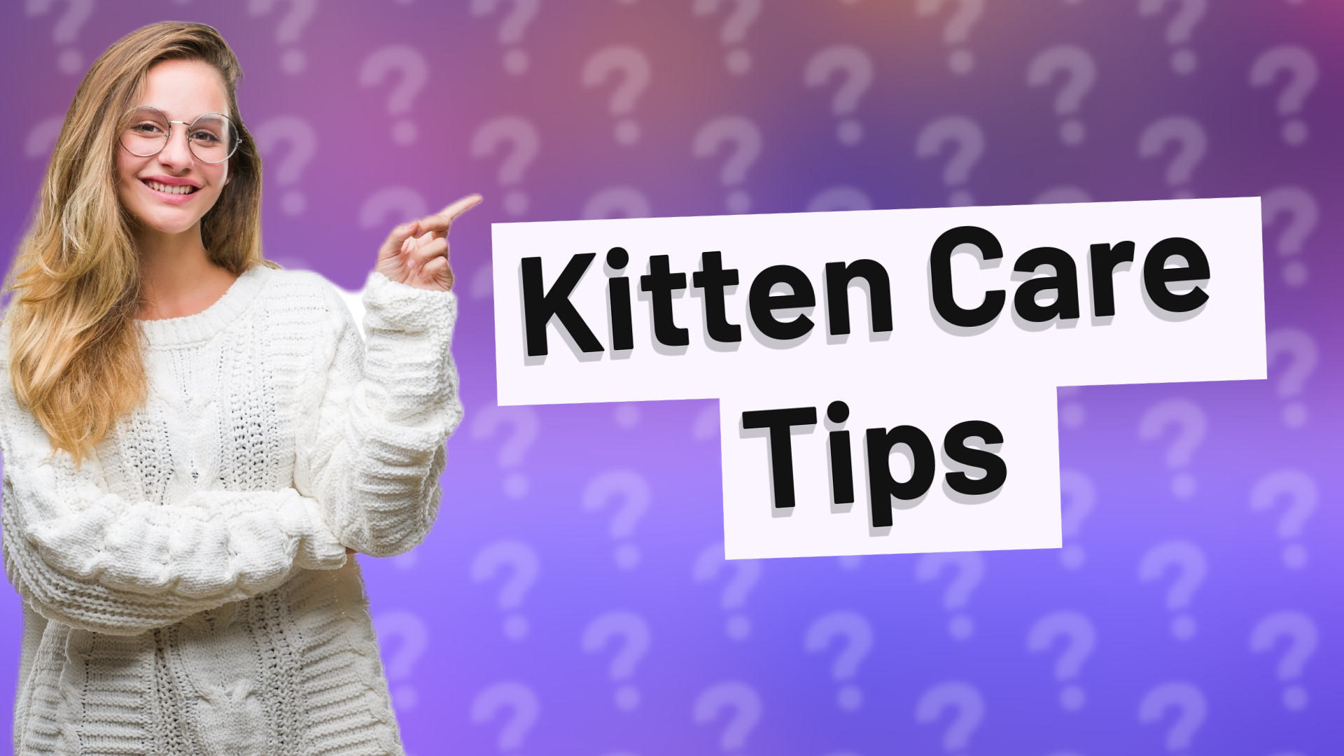 Kitten Care Tips