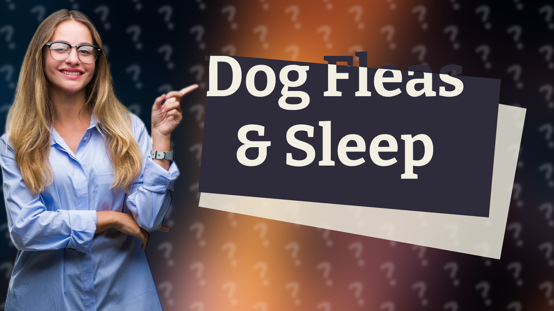 Dog Fleas & Sleep
