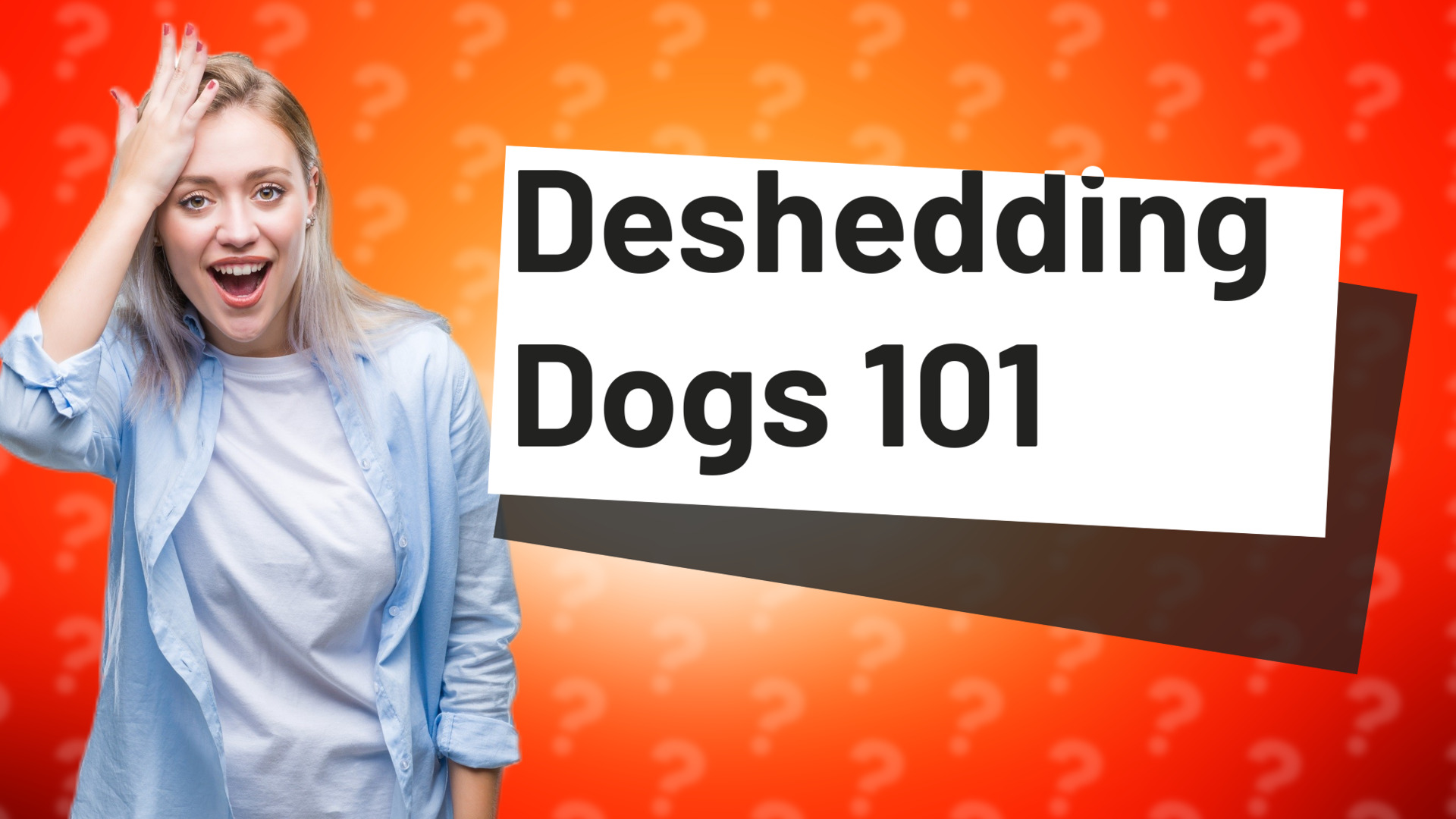 Deshedding Dogs 101
