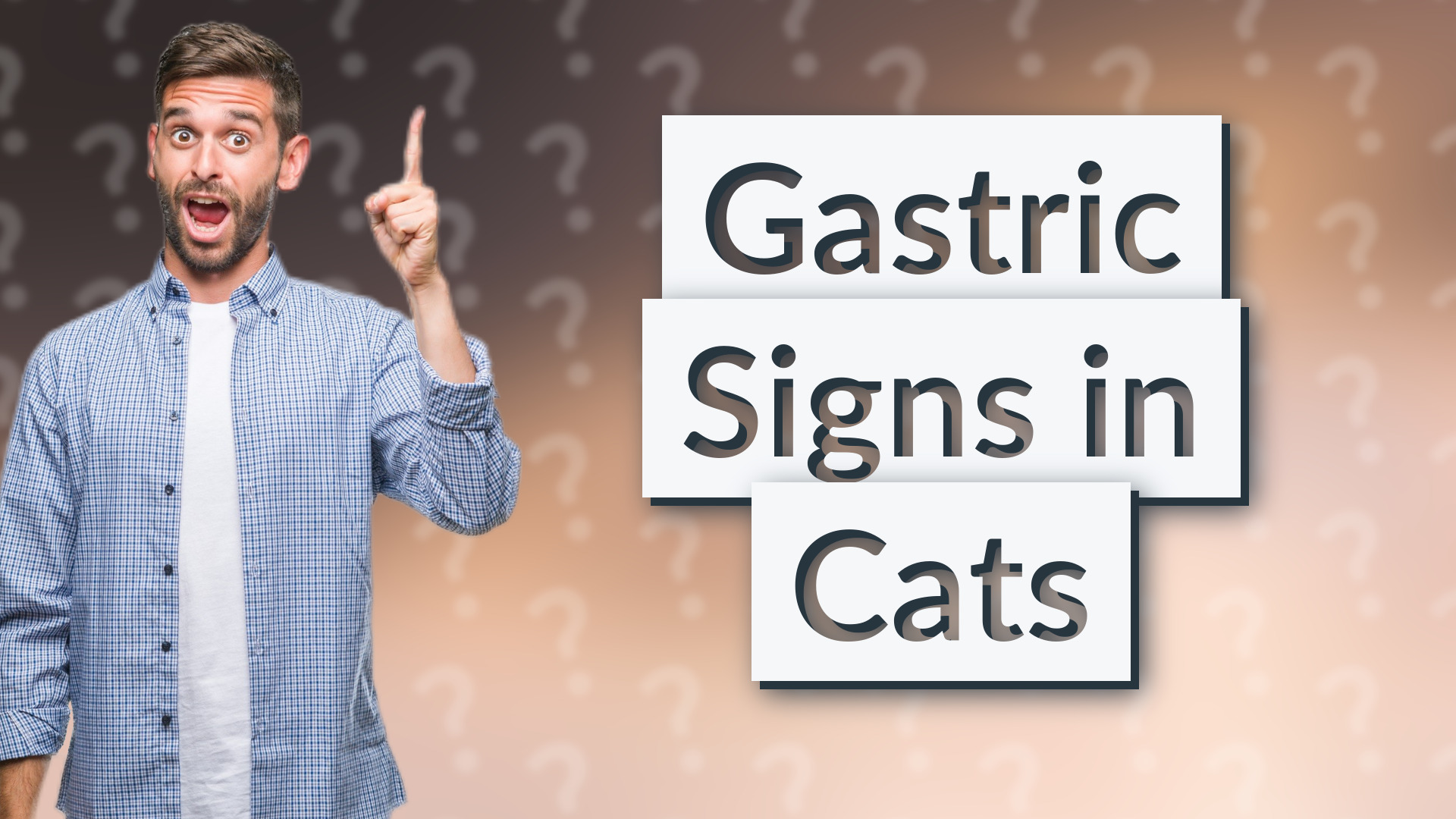 Gastric Signs in Cats