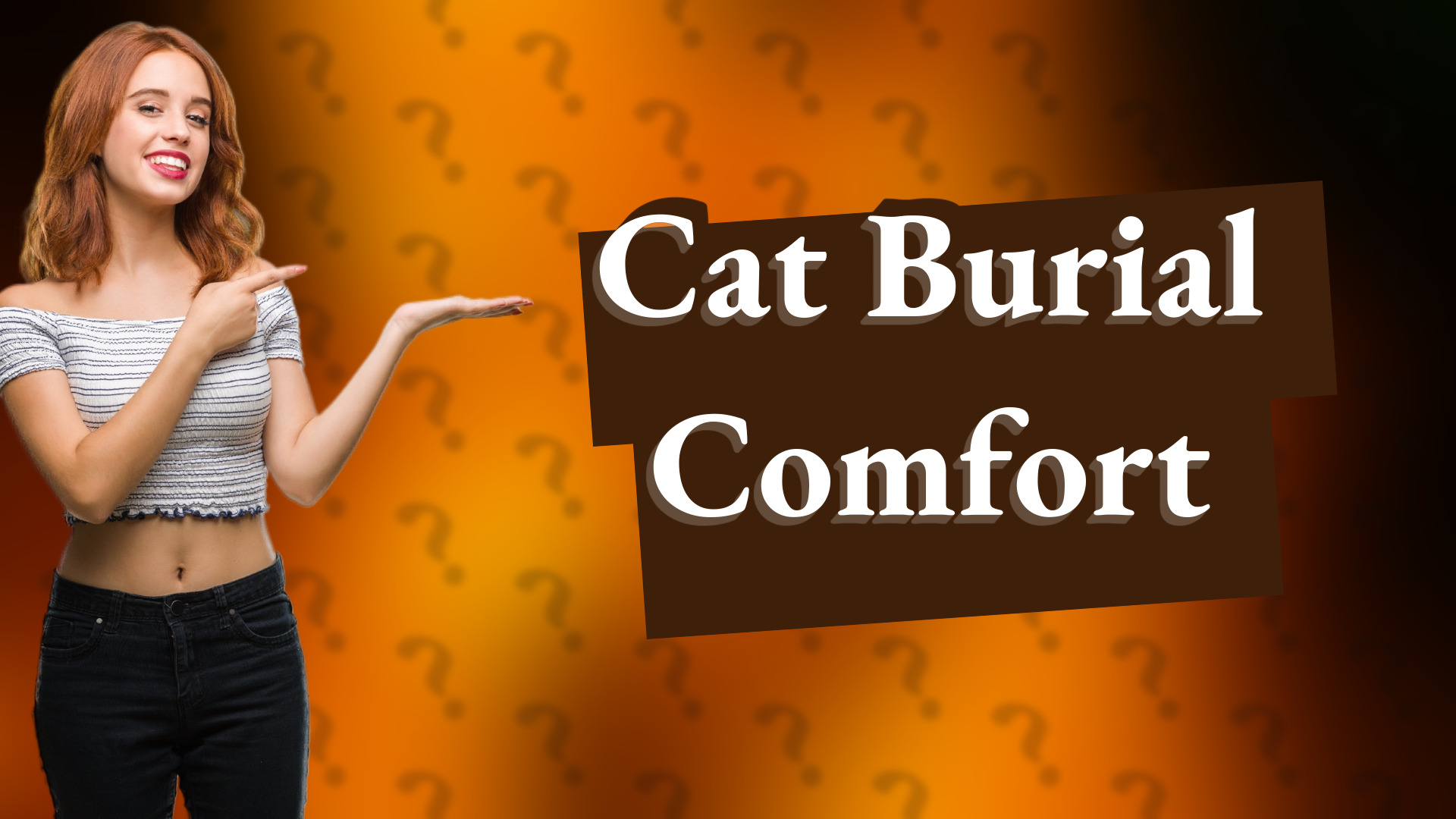 Cat Burial Comfort