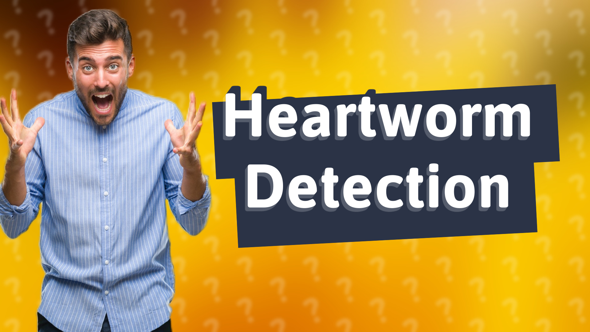 Heartworm Detection