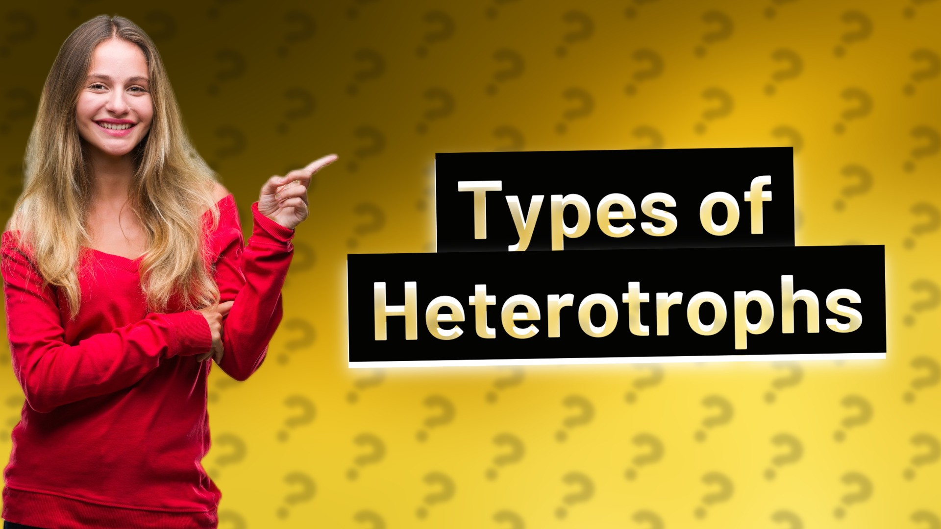 Types of Heterotrophs