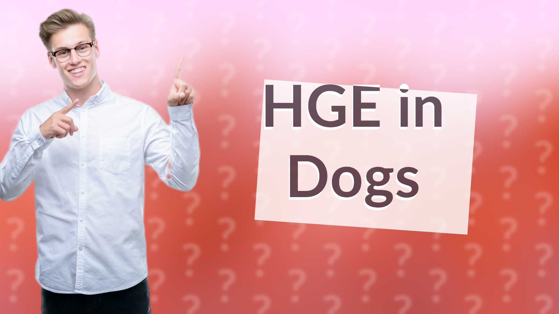 HGE in Dogs