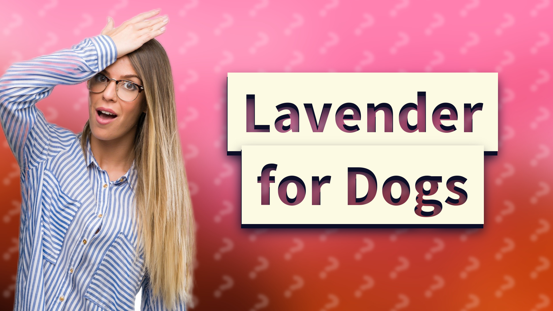 Lavender for Dogs