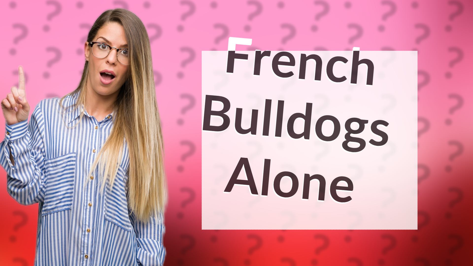 French Bulldogs Alone