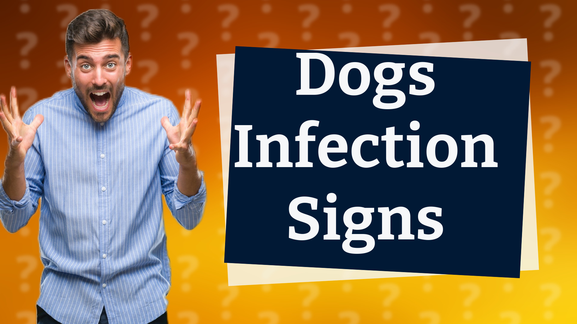 Dogs Infection Signs