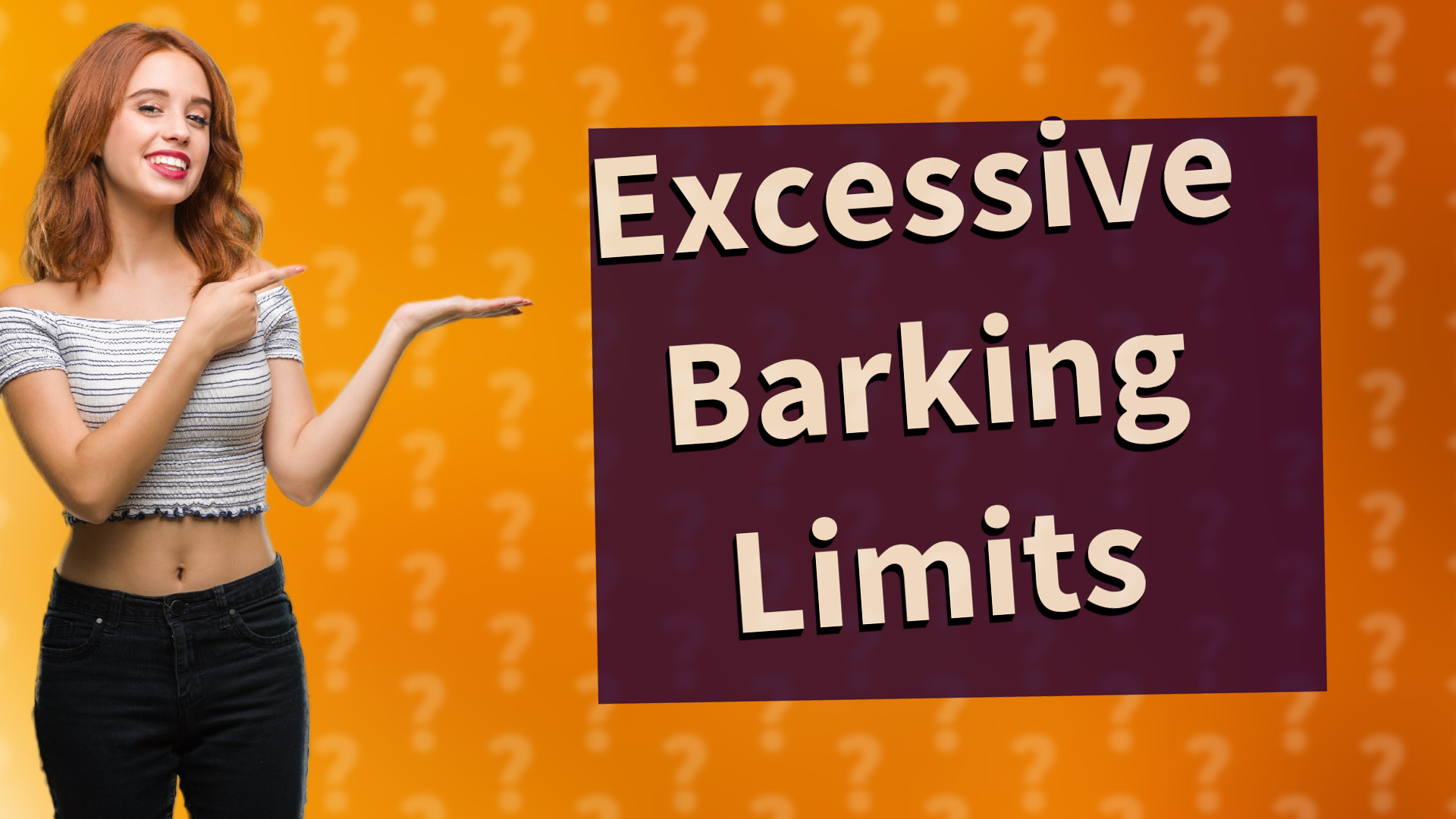 Excessive Barking Limits