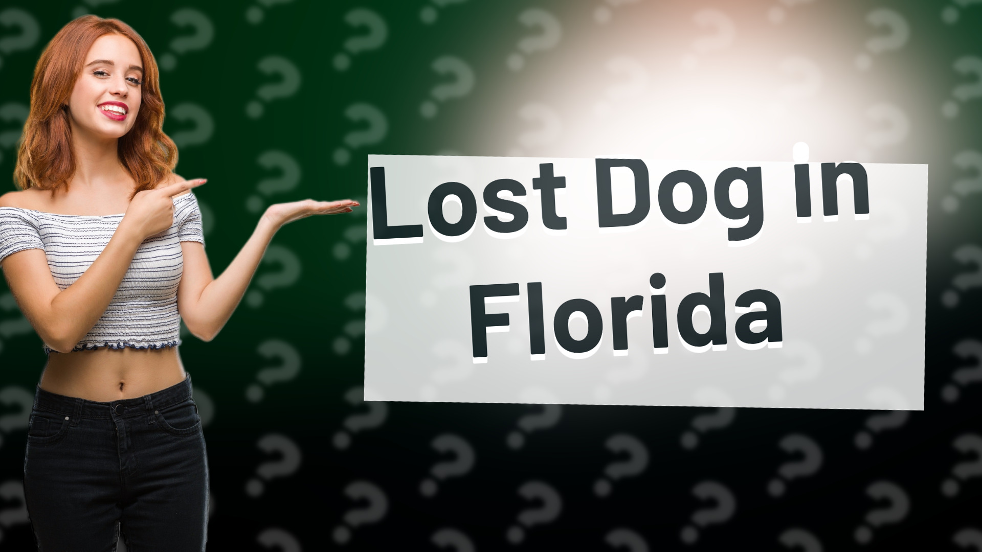 Lost Dog in Florida