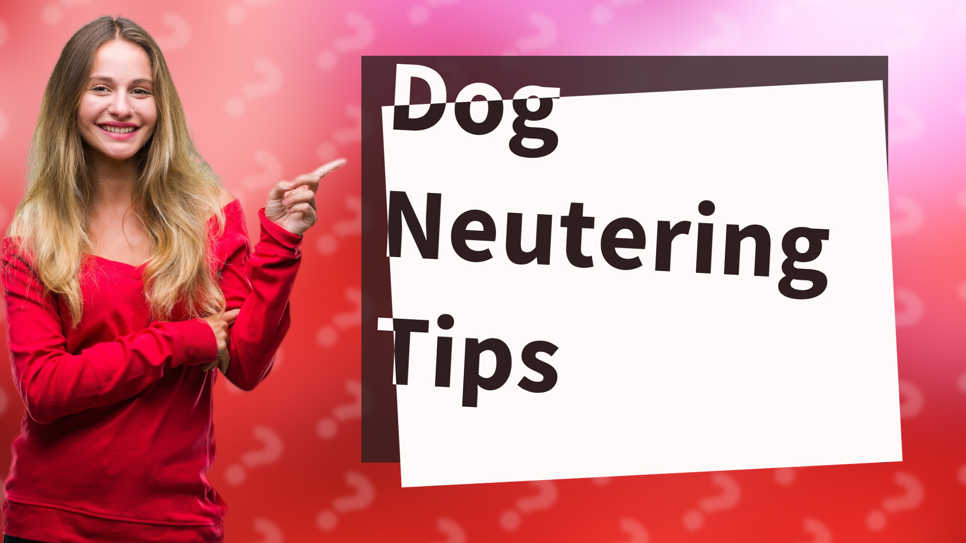 Dog Neutering Tips