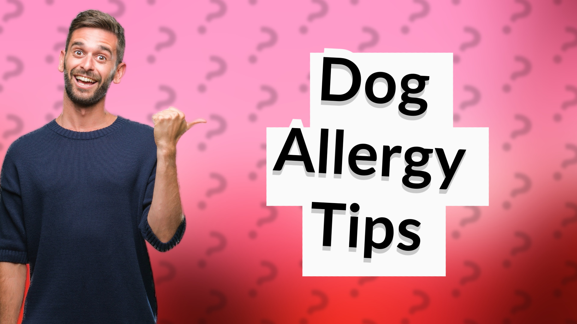 Dog Allergy Tips