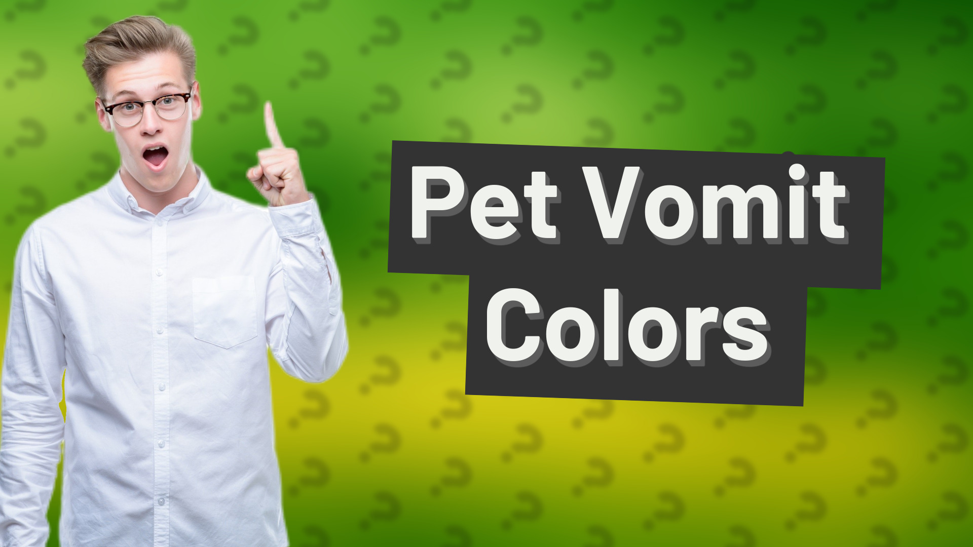 Pet Vomit Colors