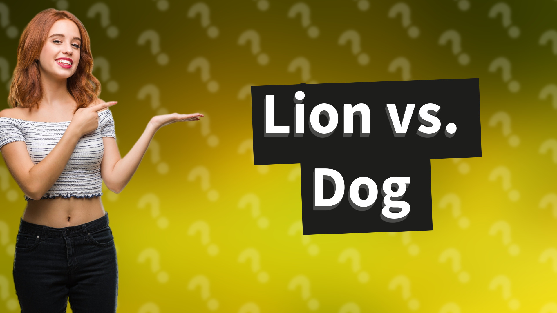 Lion vs. Dog