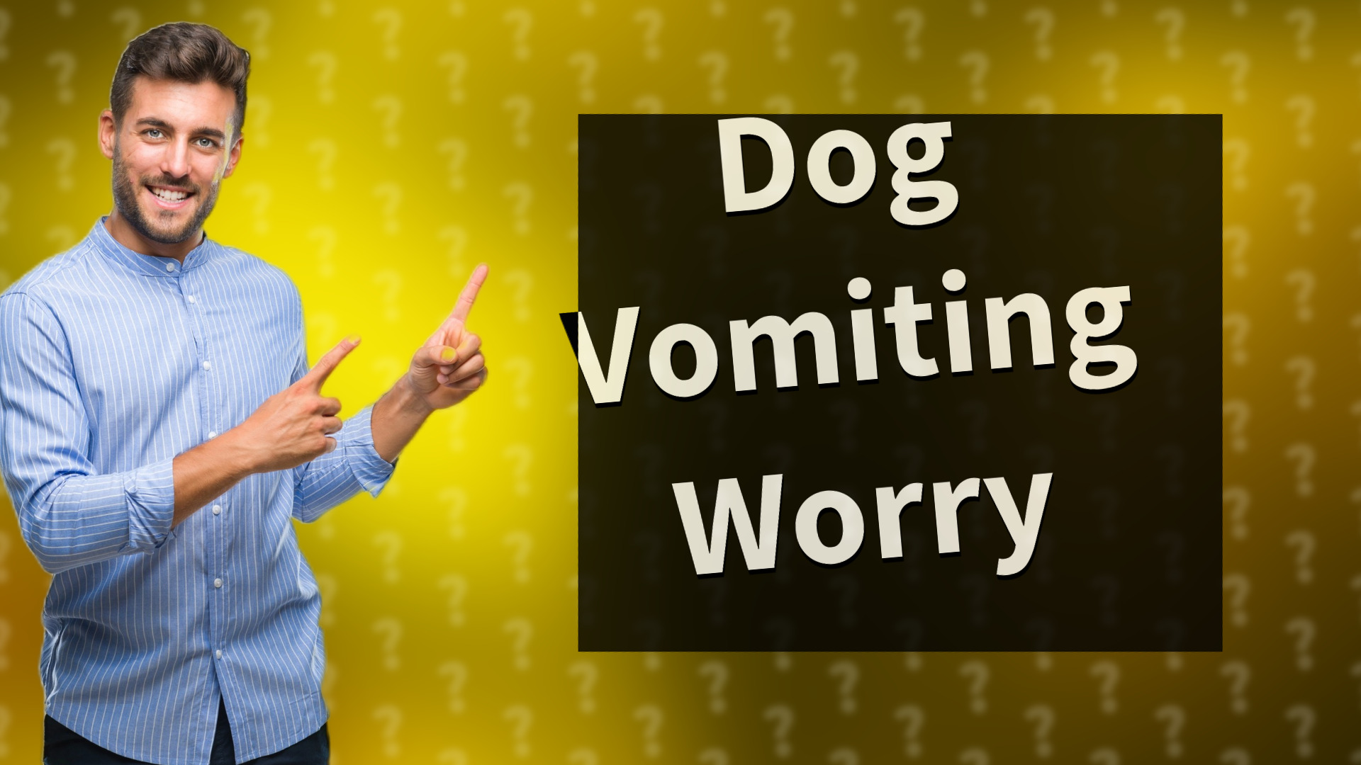 Dog Vomiting Worry