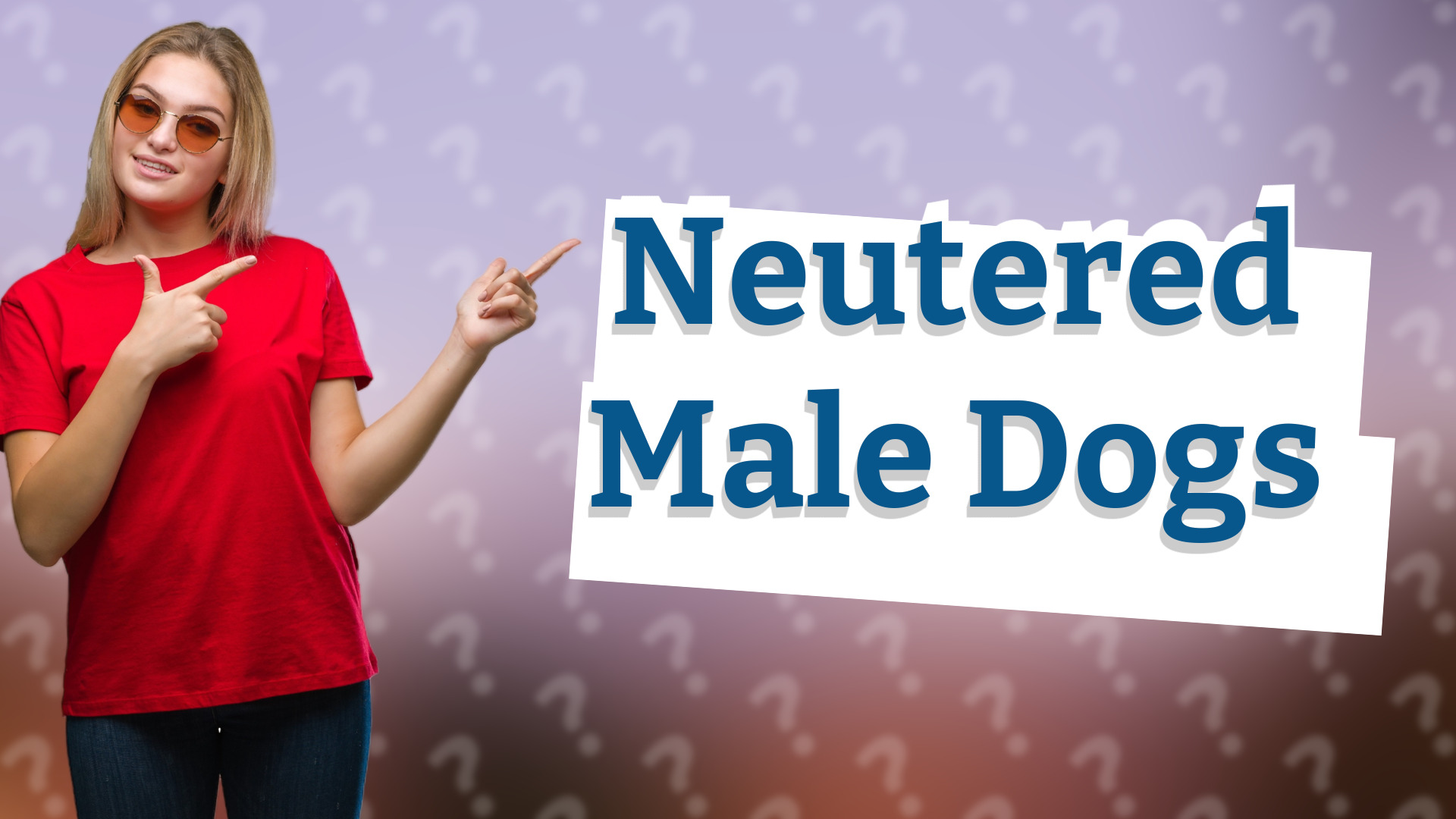 Neutered Male Dogs