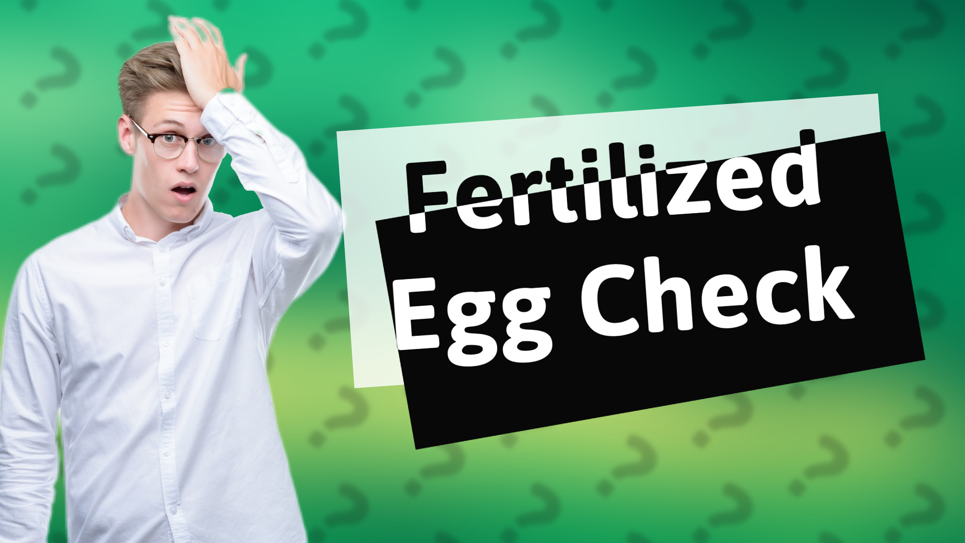 Fertilized Egg Check