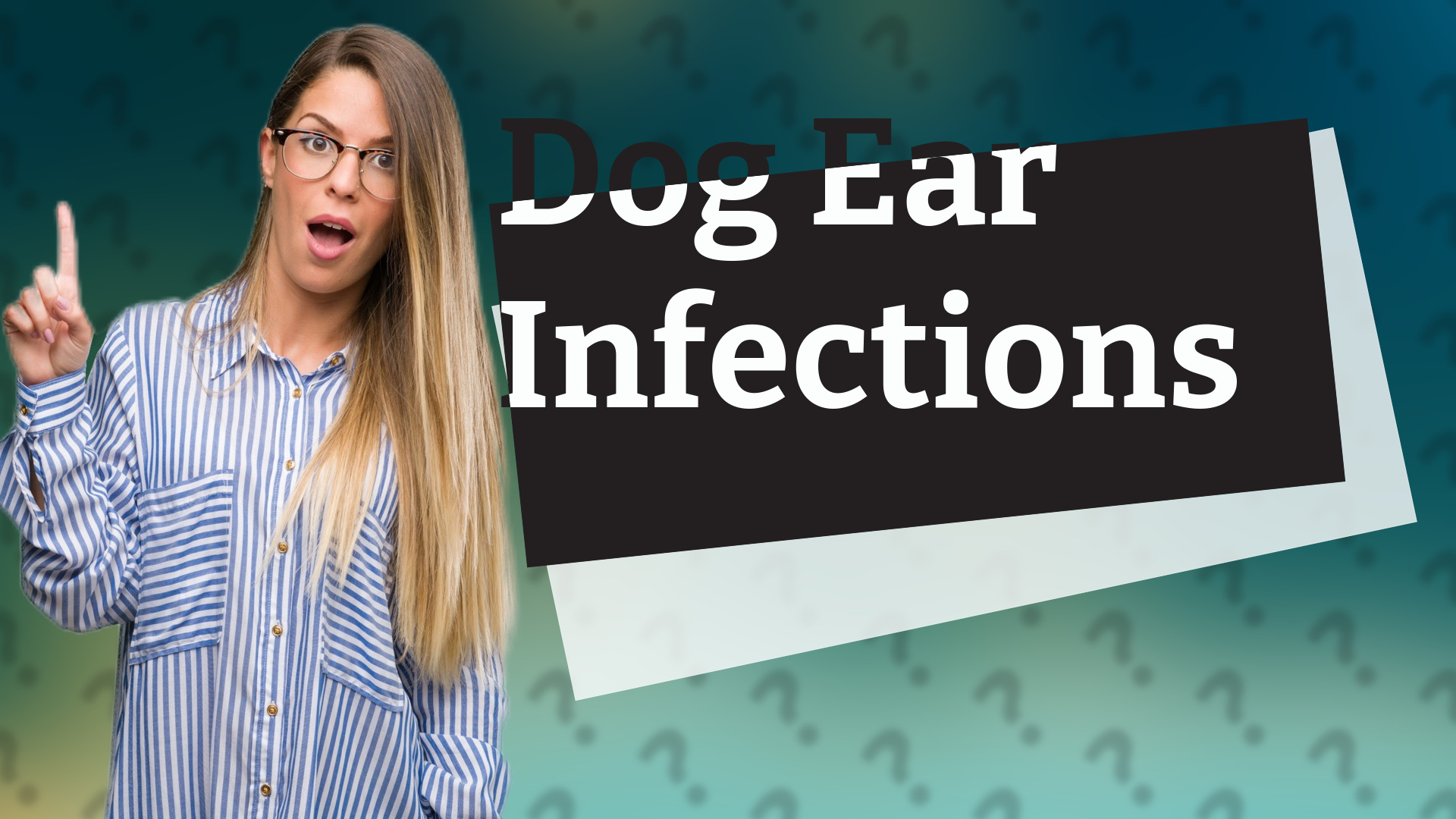 Dog Ear Infections