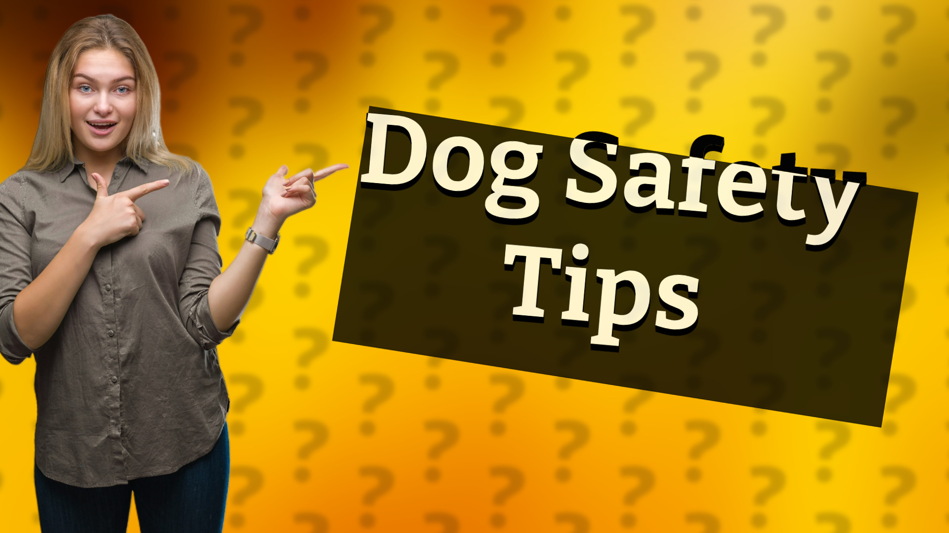 Dog Safety Tips
