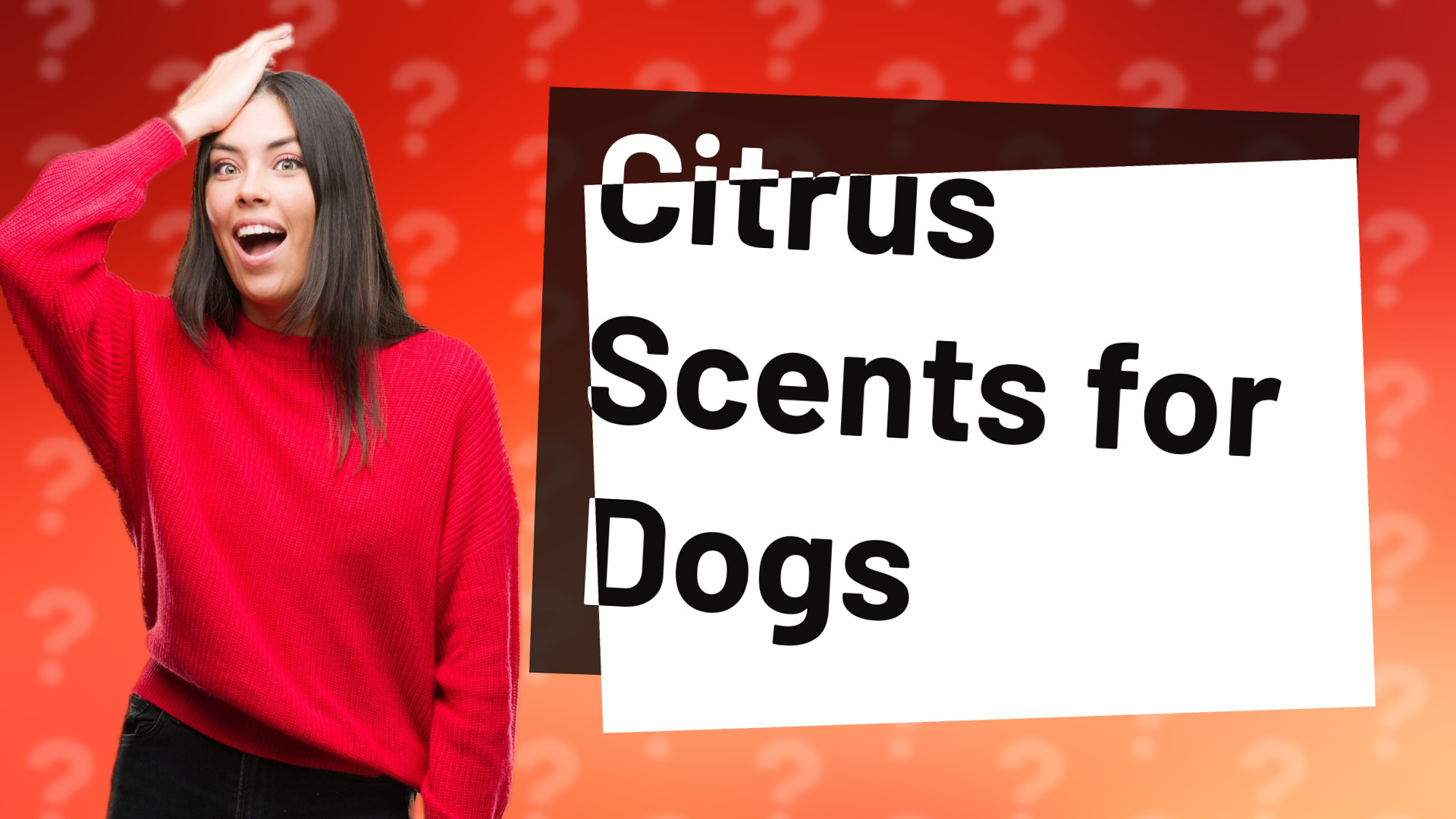 Citrus Scents for Dogs