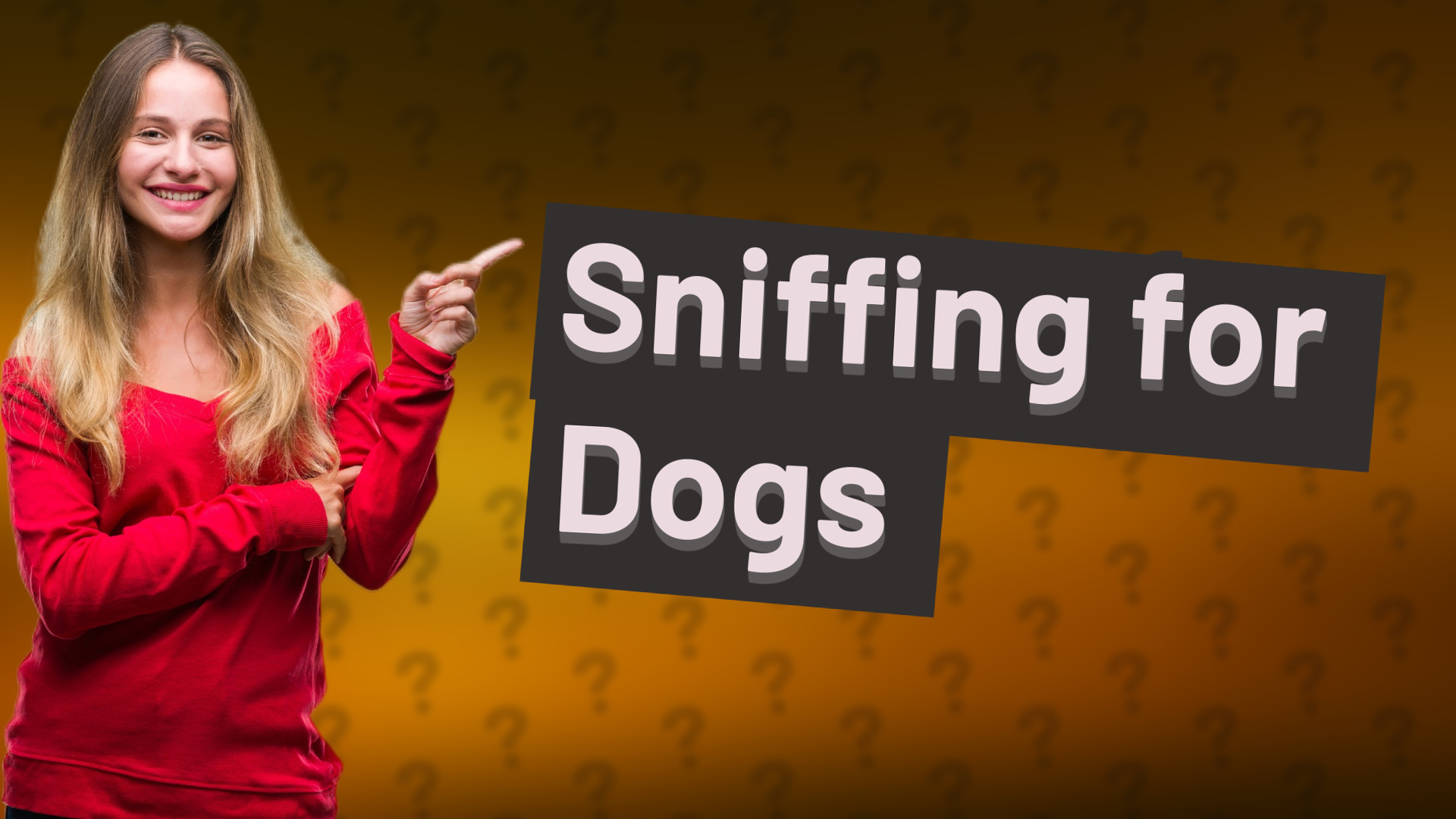 Sniffing for Dogs