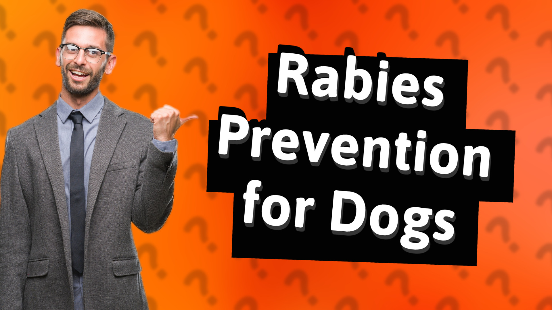 Rabies Prevention for Dogs