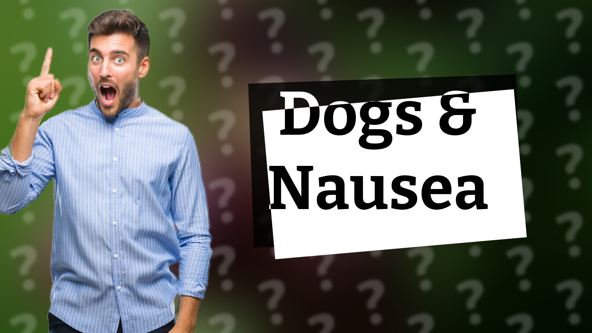 Dogs & Nausea