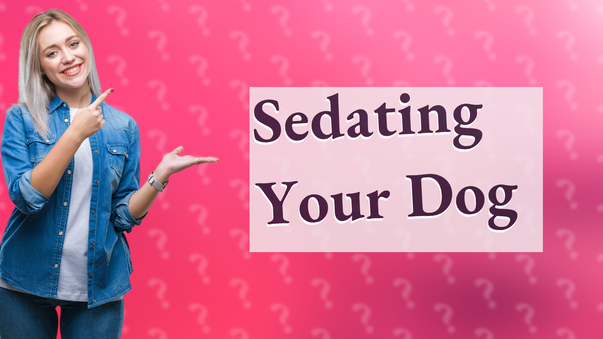 Sedating Your Dog