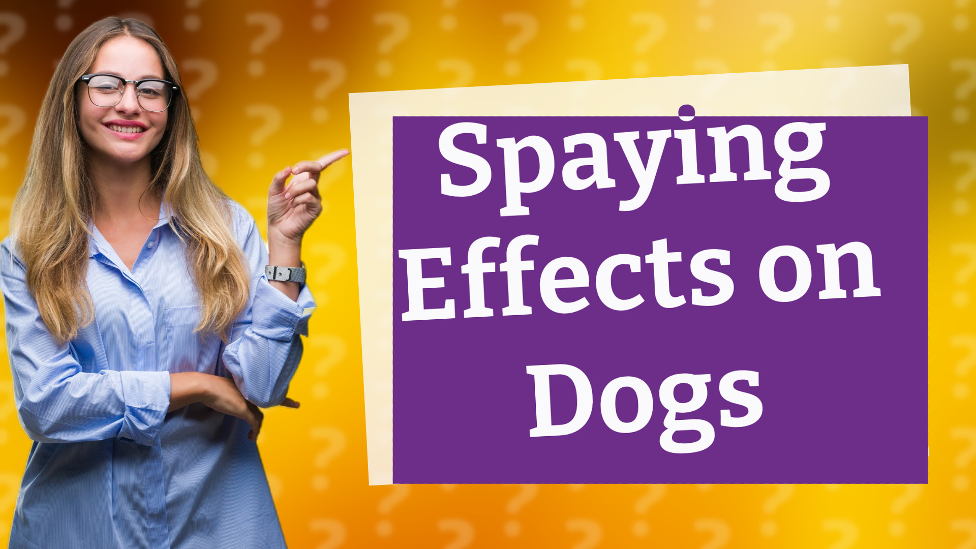 Spaying Effects on Dogs