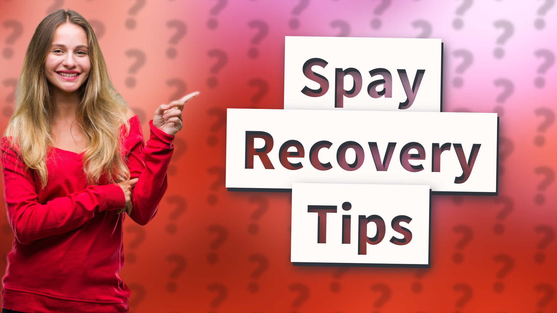 Spay Recovery Tips